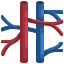 cirurgia vascular cirurgia vascular